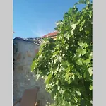 Domaine Vinodolsun Zwei Villen, Ein Grundstueck Und Platz Fuer Bis Zu 18 Personen Villa Bribir (Primorje-Gorski Kotar)
