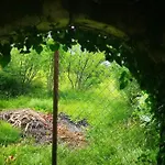 Domaine Vinodolsun Zwei Villen, Ein Grundstueck Und Platz Fuer Bis Zu 18 Personen Villa