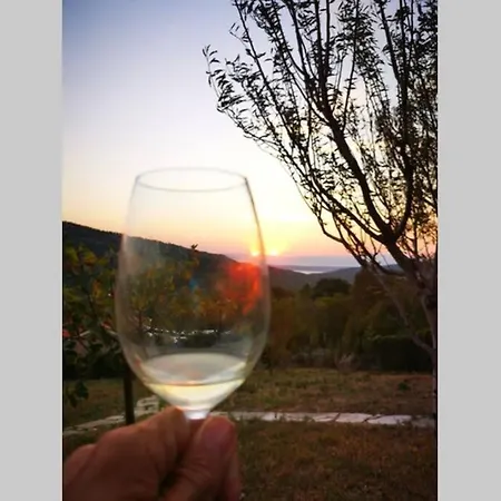 Vila Domaine Vinodolsun Zwei Villen, Ein Grundstueck Und Platz Fuer Bis Zu 20 Personen *