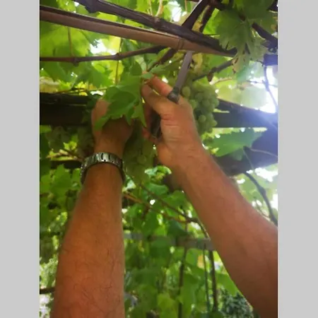 Domaine Vinodolsun Zwei Villen, Ein Grundstueck Und Platz Fuer Bis Zu 20 Personen Vila *