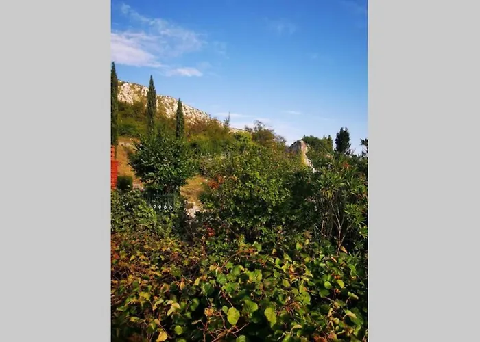 Villa Domaine Vinodolsun Zwei Villen, Ein Grundstueck Und Platz Fuer Bis Zu 18 Personen