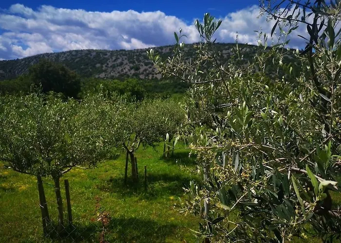 Domaine Vinodolsun Zwei Villen, Ein Grundstueck Und Platz Fuer Bis Zu 18 Personen Bribir (Primorje-Gorski Kotar)