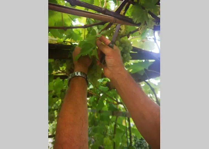Domaine Vinodolsun Zwei Villen, Ein Grundstueck Und Platz Fuer Bis Zu 18 Personen 别墅 *