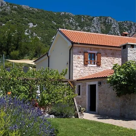 Domaine Vinodolsun Zwei Villen, Ein Grundstueck Und Platz Fuer Bis Zu 18 Personen * Bribir (Primorje-Gorski Kotar)