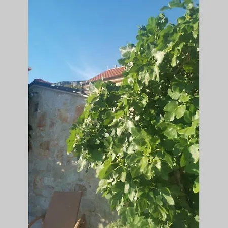 Domaine Vinodolsun Zwei Villen, Ein Grundstück Und Platz Für Bis Zu 20 Personen Villa Bribir (Primorje-Gorski Kotar)
