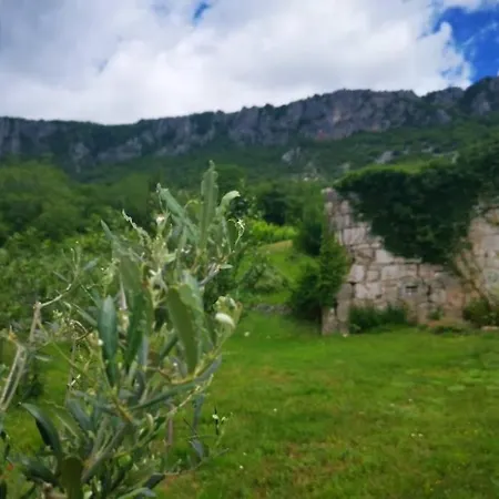 Domaine Vinodolsun Zwei Villen, Ein Grundstück Und Platz Für Bis Zu 20 Personen Villa