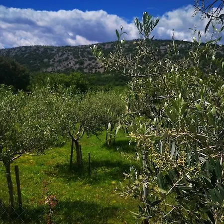 Domaine Vinodolsun Zwei Villen, Ein Grundstück Und Platz Für Bis Zu 20 Personen Bribir (Primorje-Gorski Kotar)