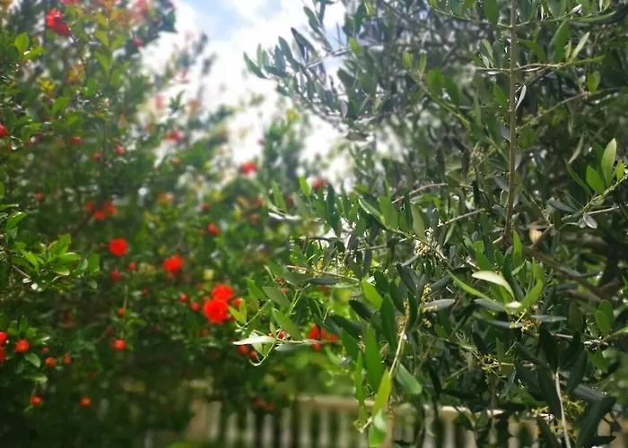 Domaine Vinodolsun Zwei Villen, Ein Grundstueck Und Platz Fuer Bis Zu 18 Personen Villa *