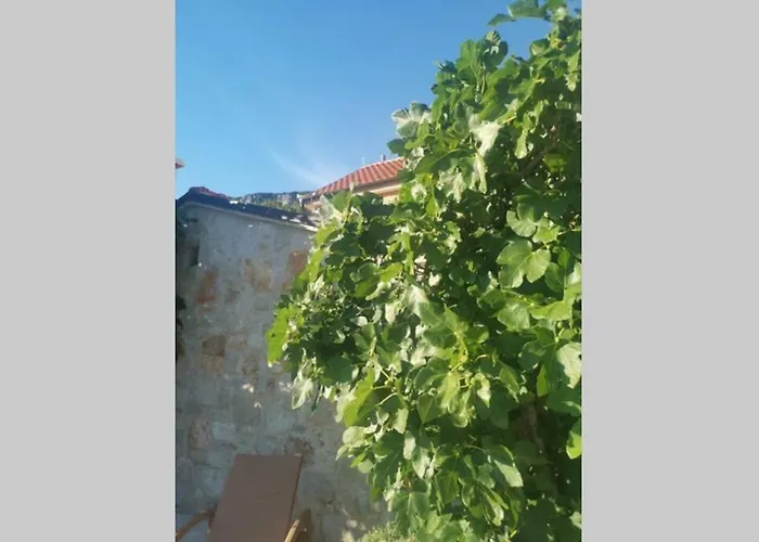 Domaine Vinodolsun Zwei Villen, Ein Grundstueck Und Platz Fuer Bis Zu 18 Personen Vila Bribir (Primorje-Gorski Kotar)